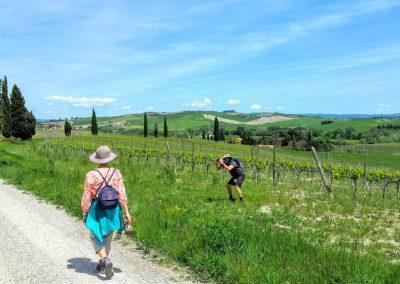 guided walking tours tuscany italy