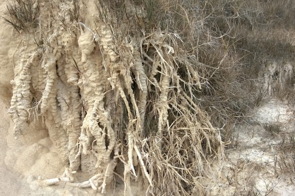 Travertine and the Valley of the Mills at Bagno Vignoni