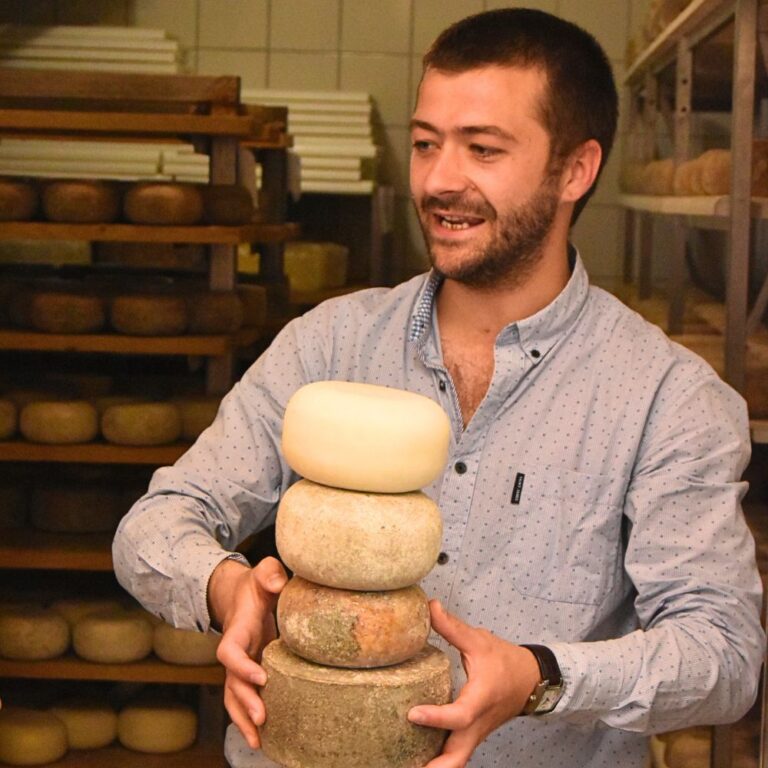 Pecorino cheese farm