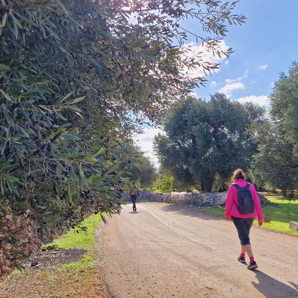 Puglia trails
