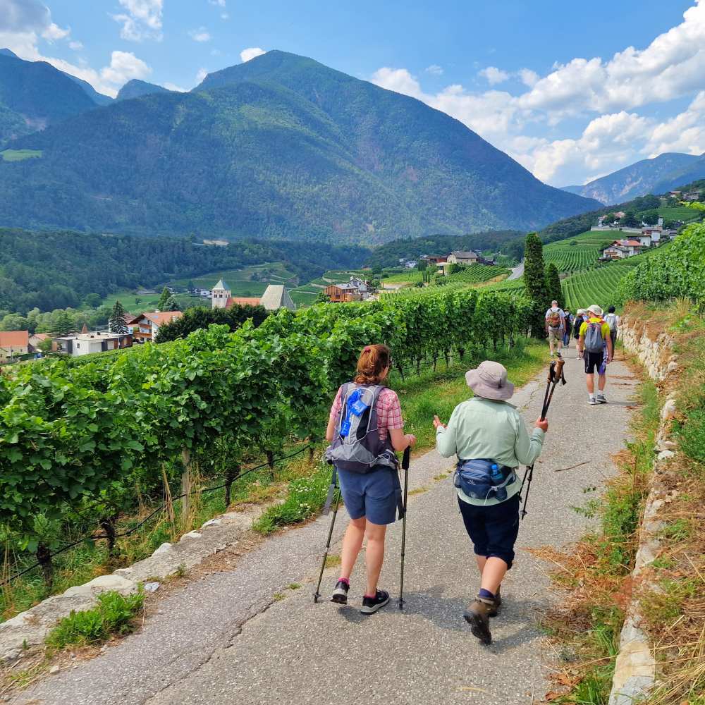 alps and dolomites trails