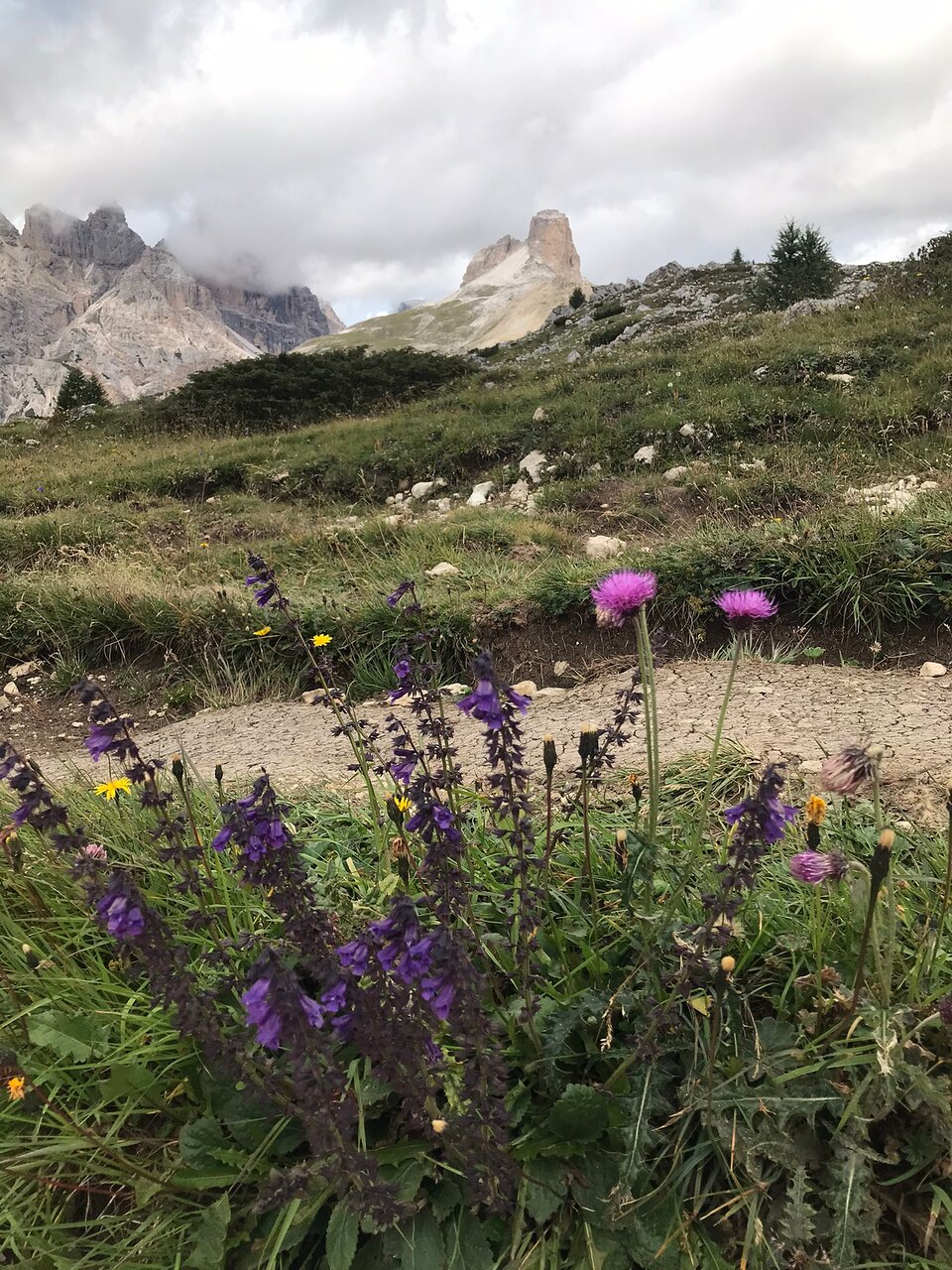 John P — Dolomites walking tour