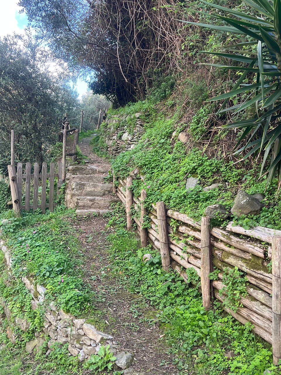 Lynn B — Cinque Terre walking tour