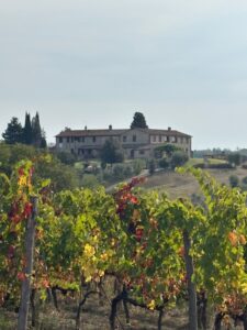 Iconic Tuscany walking tour, photo by guest Tanya E. (1 of 5)