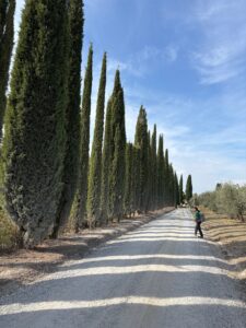 Iconic Tuscany walking tour, photo by guest Tanya E. (2 of 5)