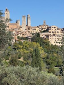 Iconic Tuscany walking tour, photo by guest Tanya E. (3 of 5)