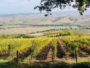 Iconic Tuscany walking tour, photo by guest Karen G. (2 of 5)